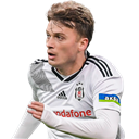 Adem Ljajić