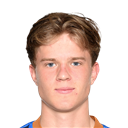P. Vogt