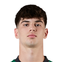 Rodrigo Ribeiro