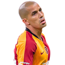 Sofiane Feghouli