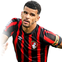 D. Solanke