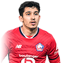 O. Sahraoui